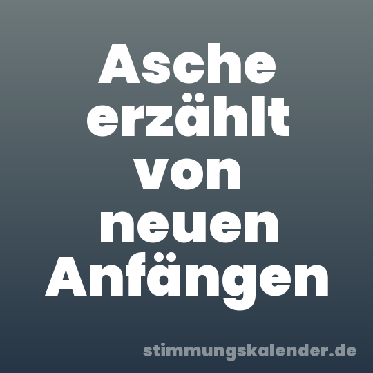 Asche erzählt von neuen Anfängen