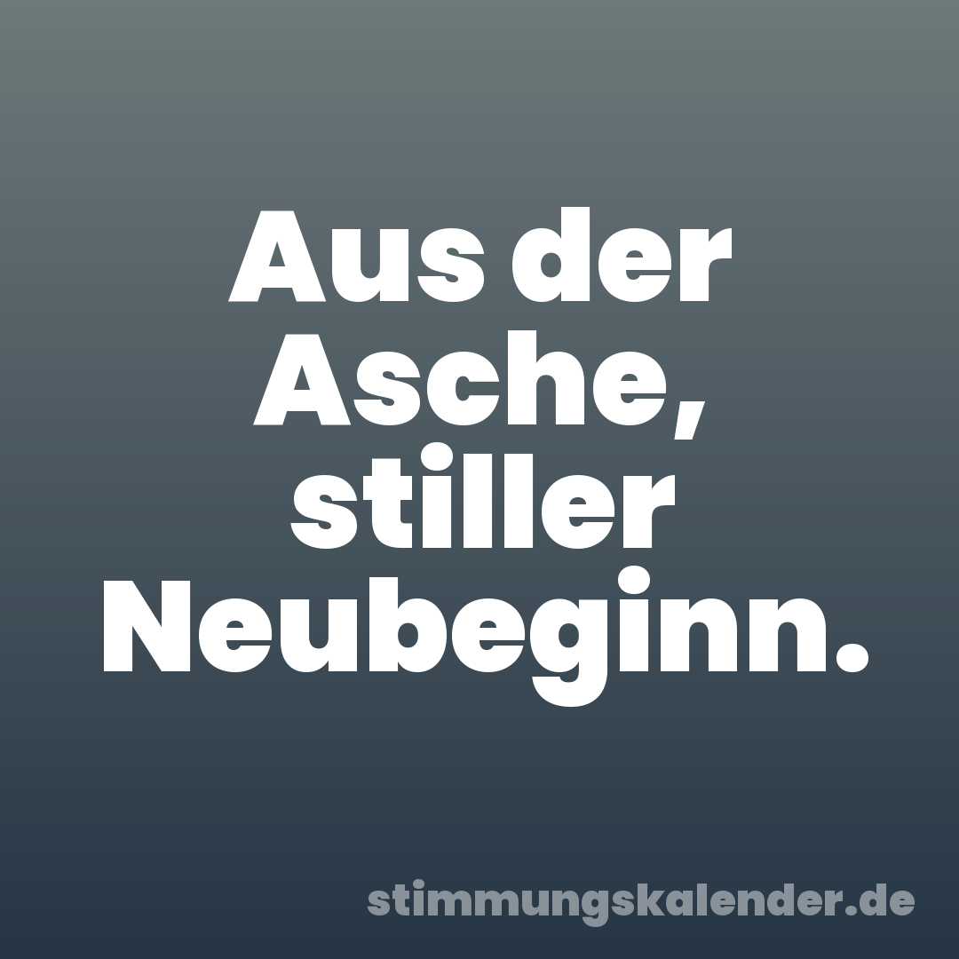 Aus der Asche, stiller Neubeginn.