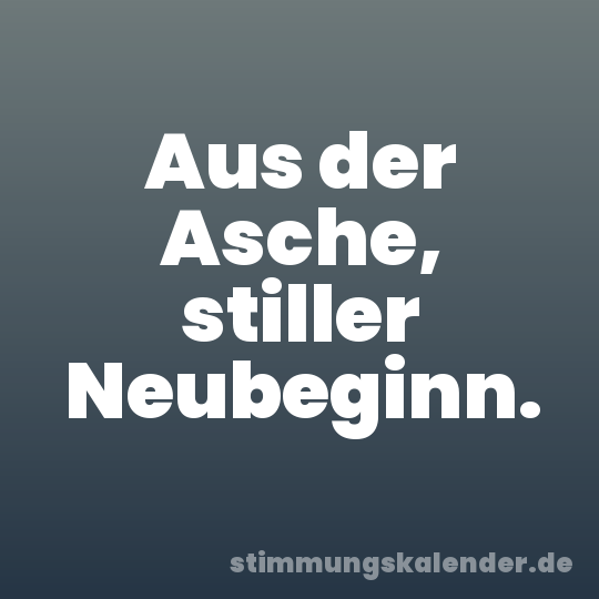 Aus der Asche, stiller Neubeginn.