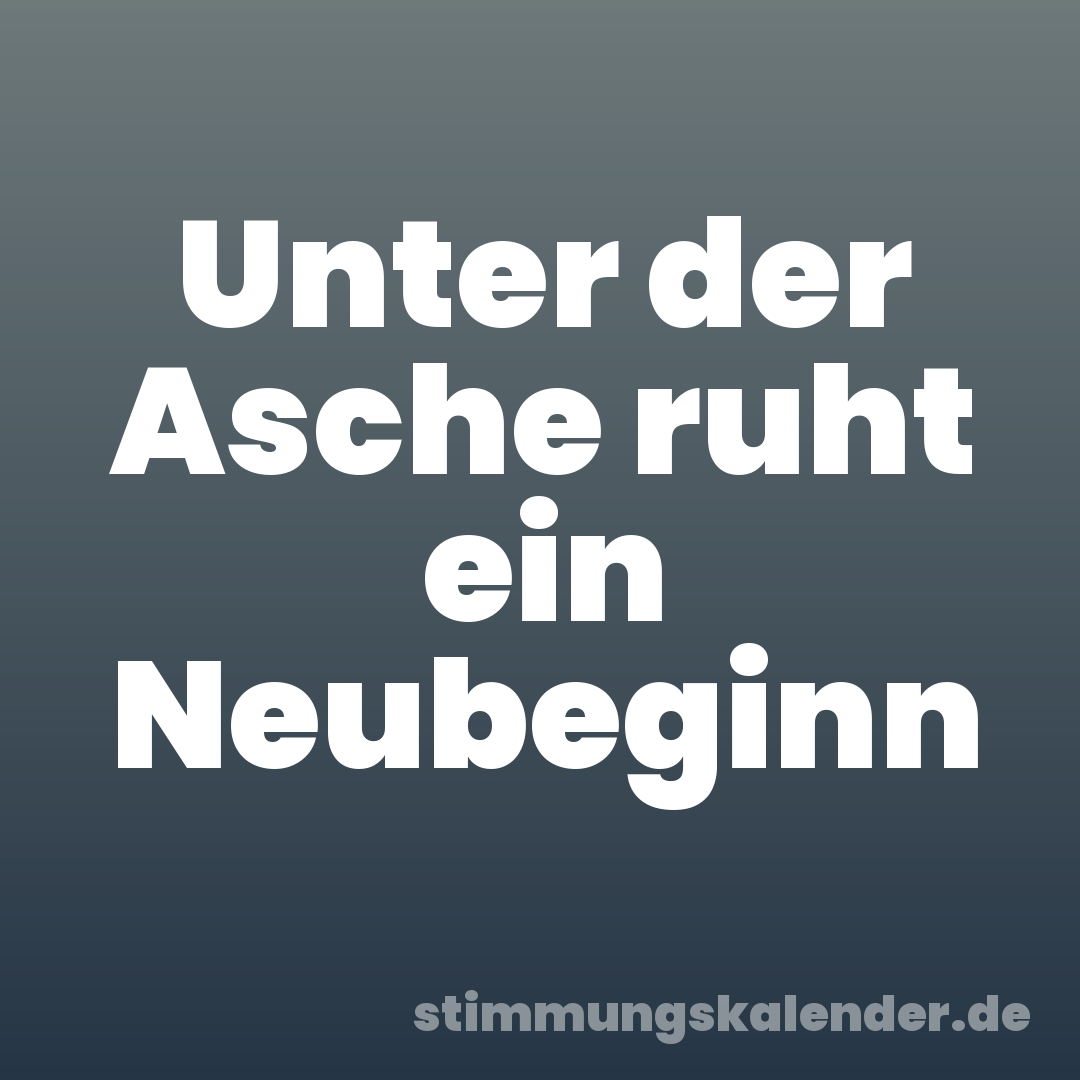 Unter der Asche ruht ein Neubeginn