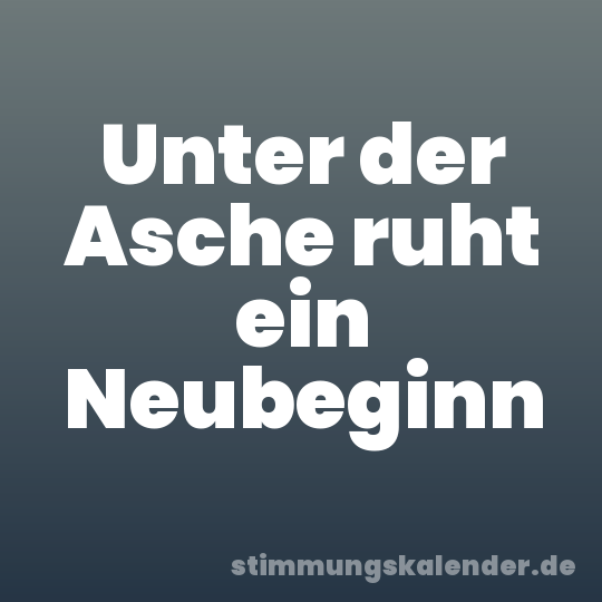 Unter der Asche ruht ein Neubeginn