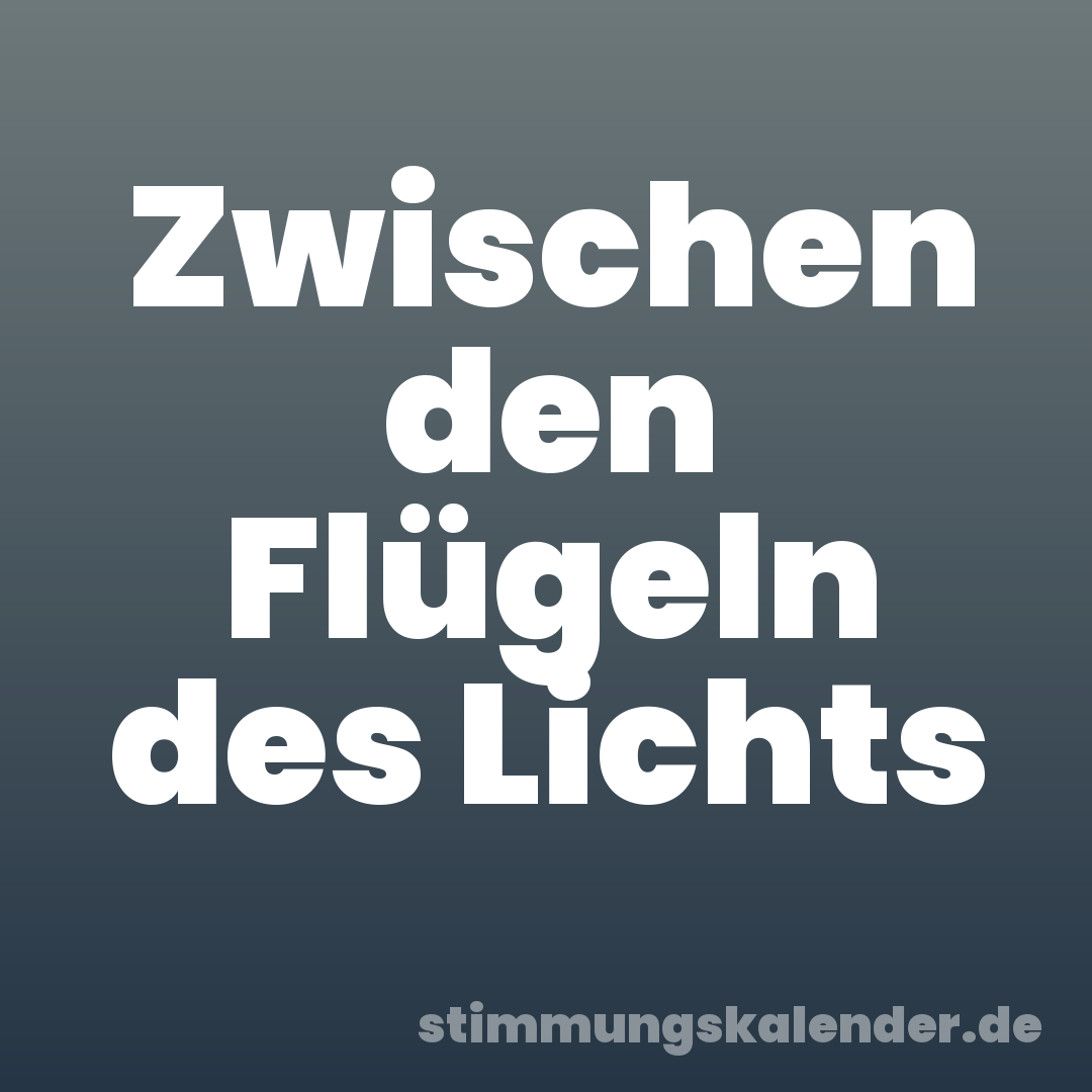 Zwischen den Flügeln des Lichts