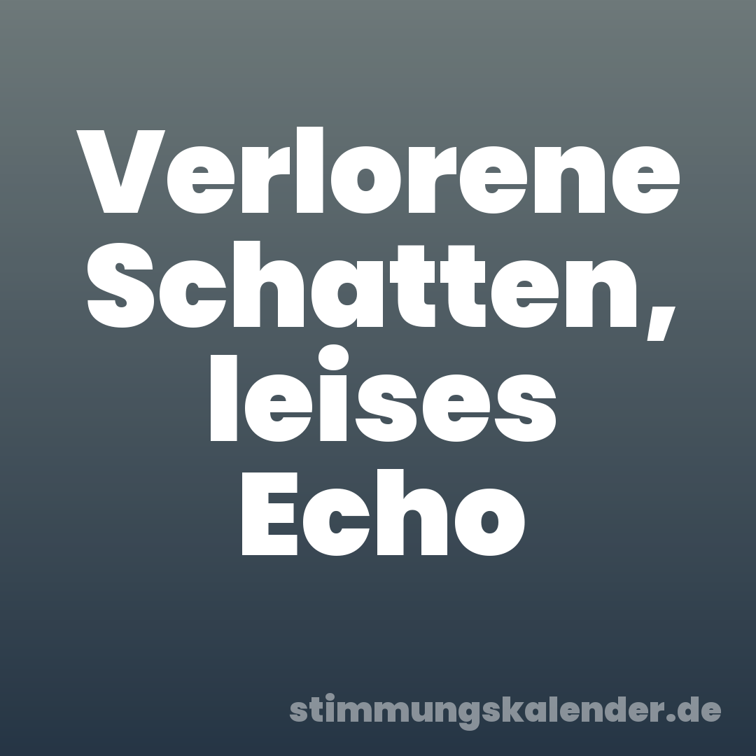 Verlorene Schatten, leises Echo