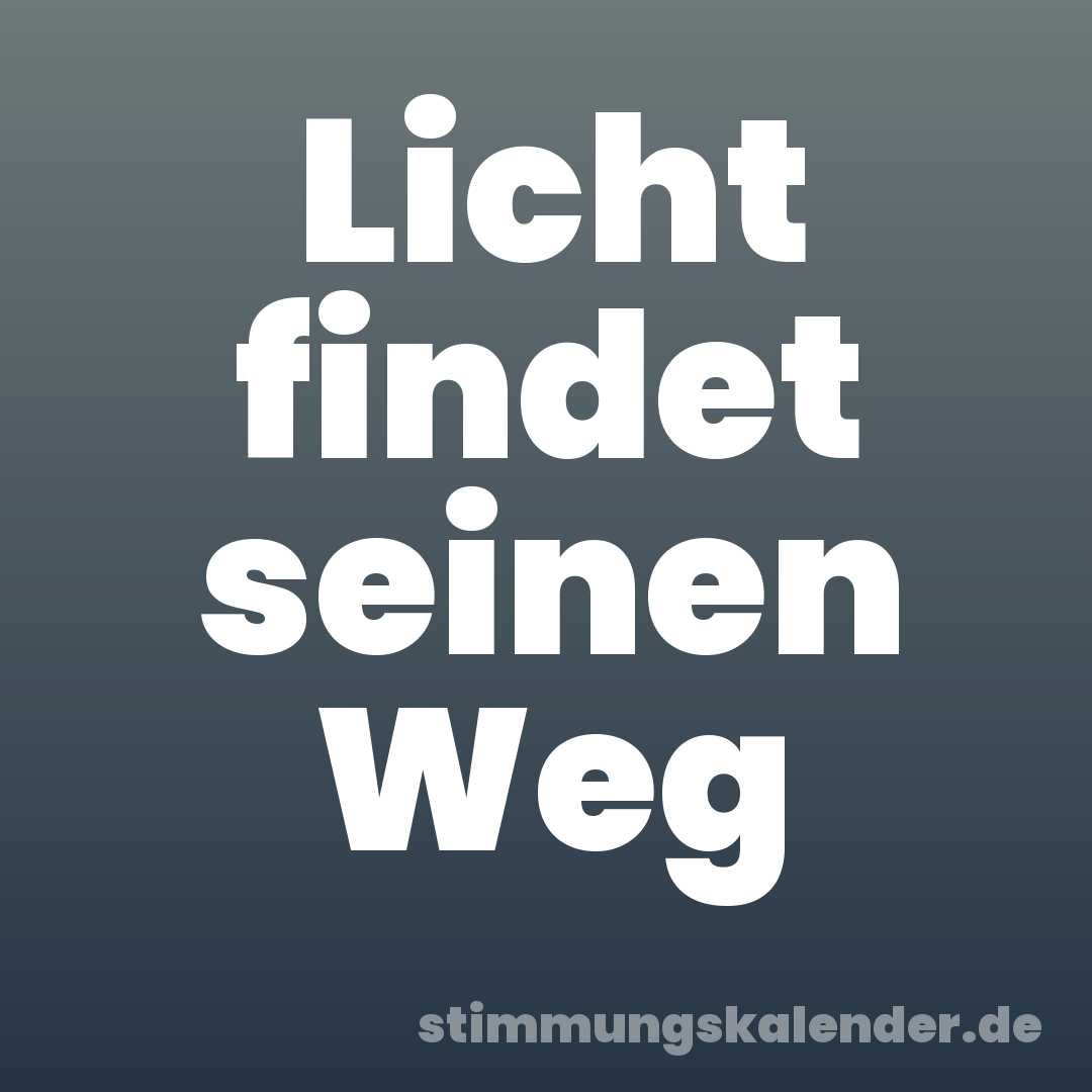 Licht findet seinen Weg