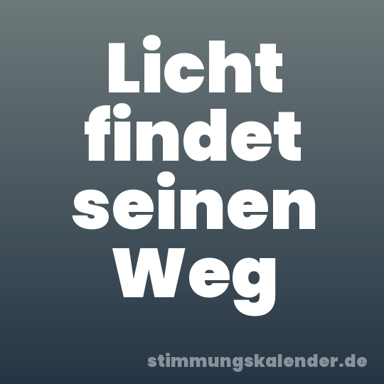 Licht findet seinen Weg