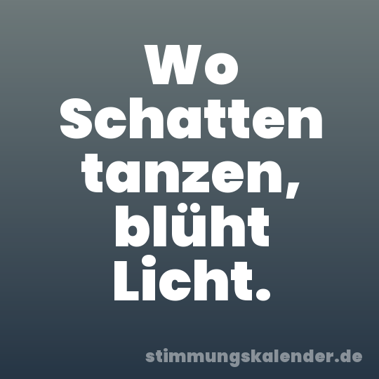 Wo Schatten tanzen, blüht Licht.