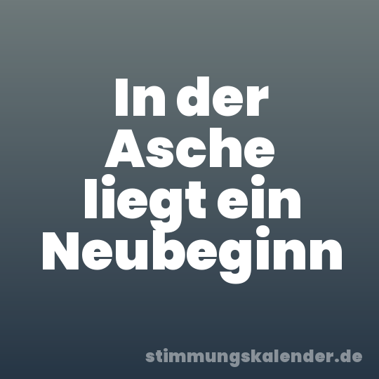 In der Asche liegt ein Neubeginn