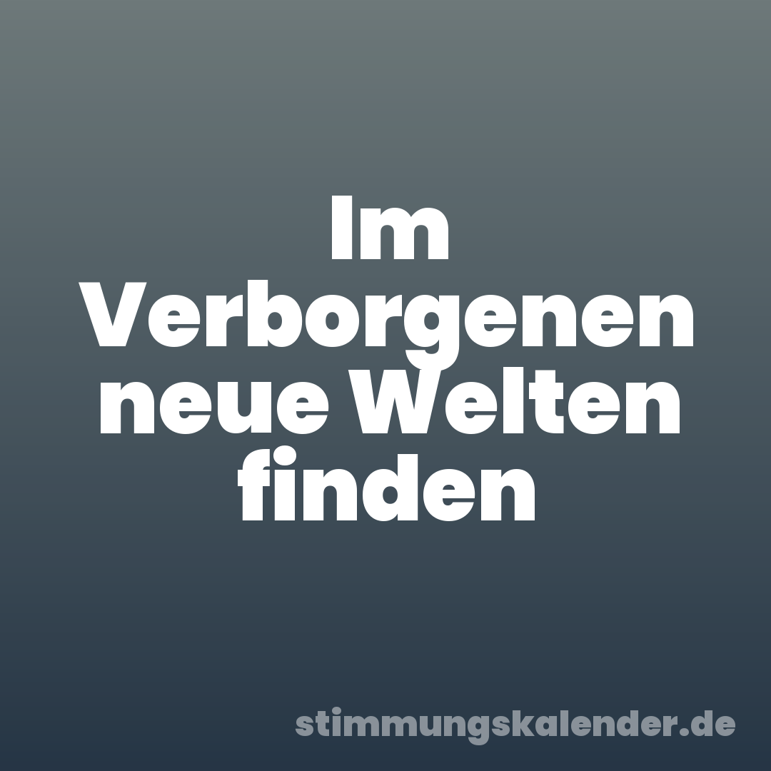 Im Verborgenen neue Welten finden