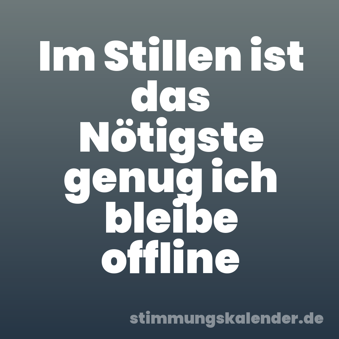 Im Stillen ist das Nötigste genug ich bleibe offline