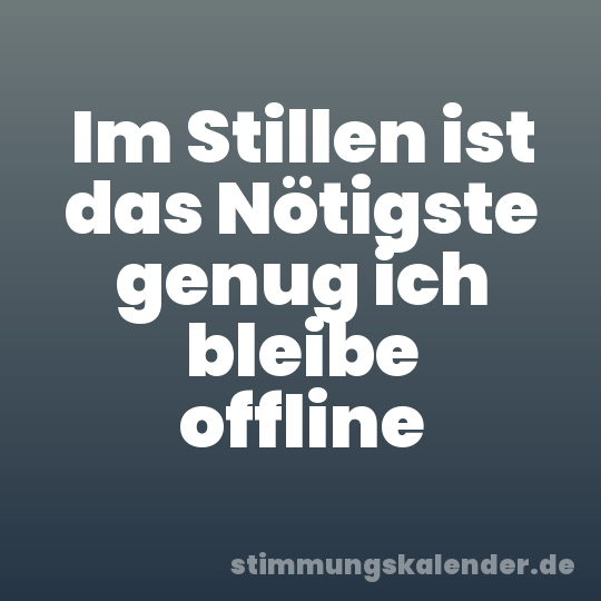 Im Stillen ist das Nötigste genug ich bleibe offline