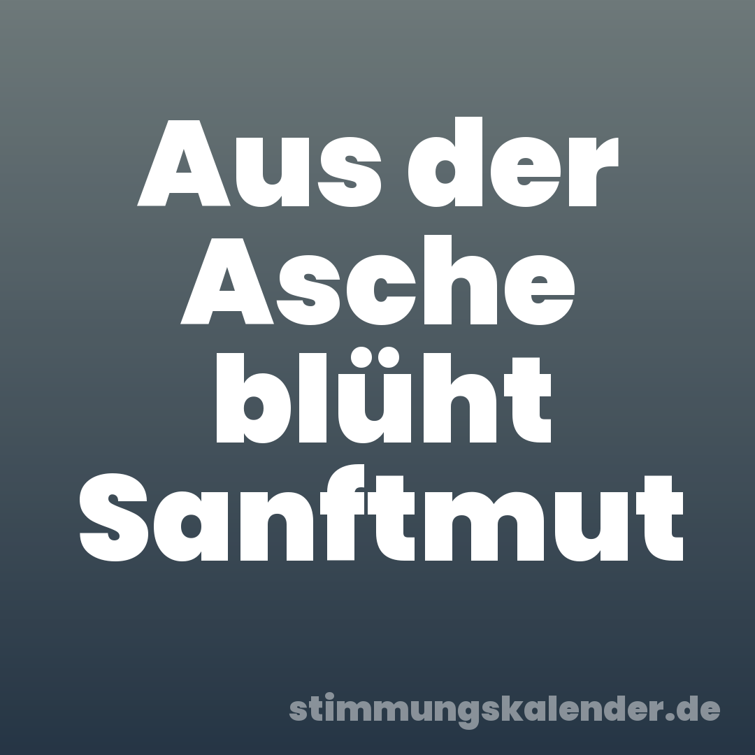 Aus der Asche blüht Sanftmut