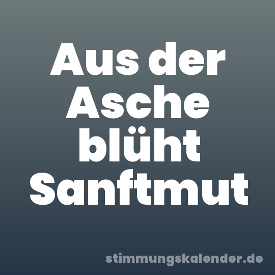 Aus der Asche blüht Sanftmut