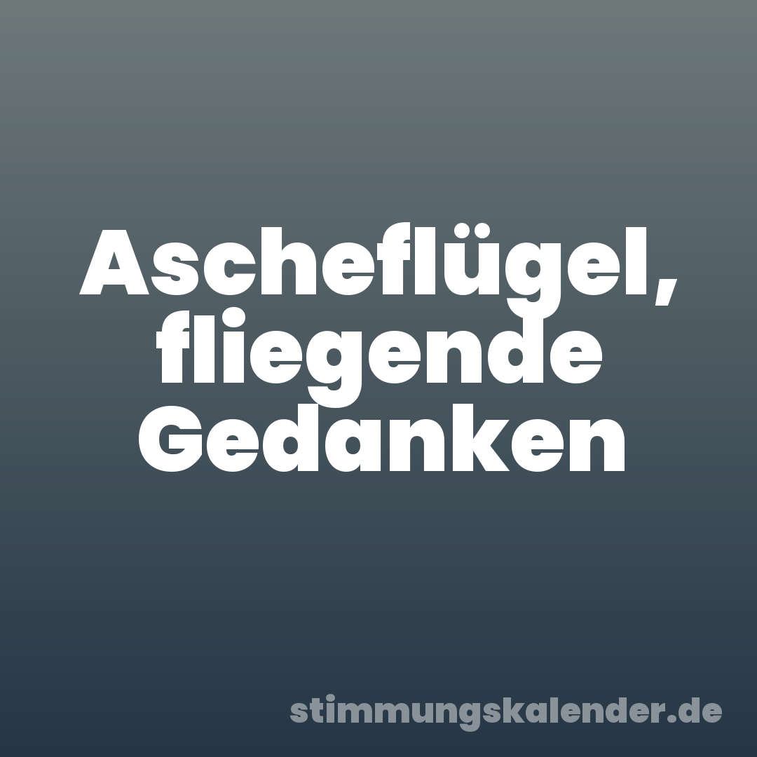 Ascheflügel, fliegende Gedanken