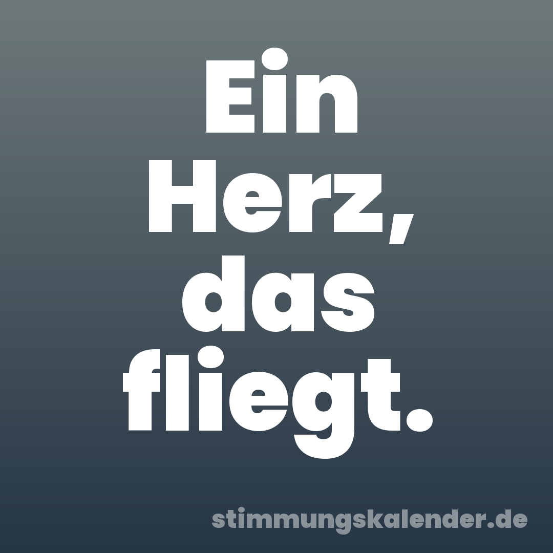 Ein Herz, das fliegt.