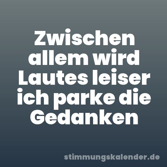 Zwischen allem wird Lautes leiser ich parke die Gedanken
