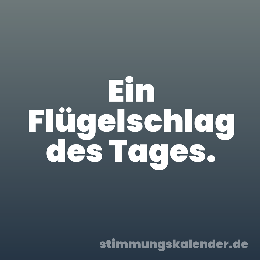 Ein Flügelschlag des Tages.