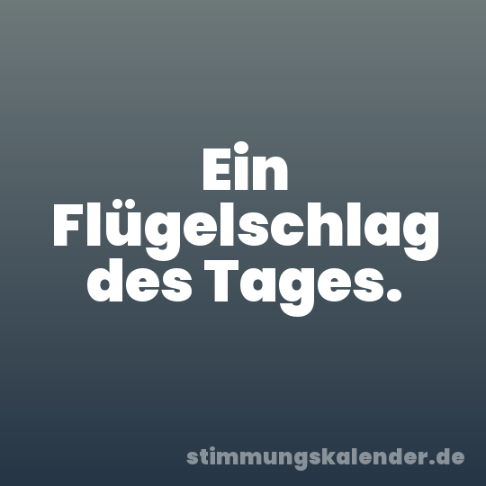 Ein Flügelschlag des Tages.
