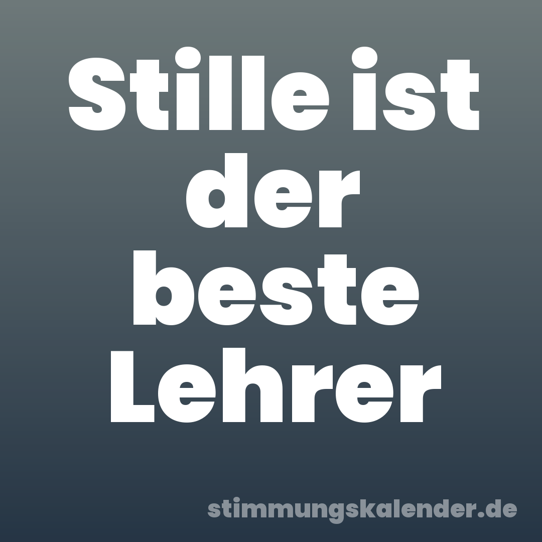 Stille ist der beste Lehrer