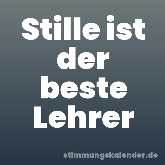 Stille ist der beste Lehrer