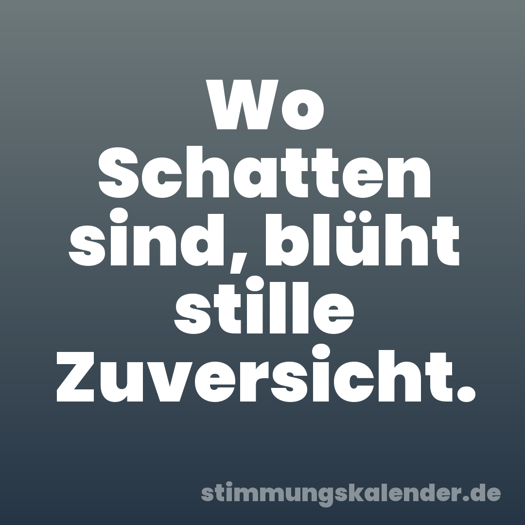 Wo Schatten sind, blüht stille Zuversicht.