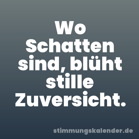 Wo Schatten sind, blüht stille Zuversicht.