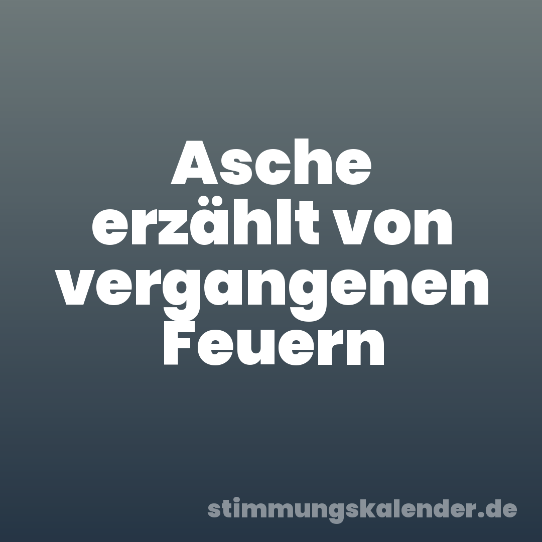 Asche erzählt von vergangenen Feuern