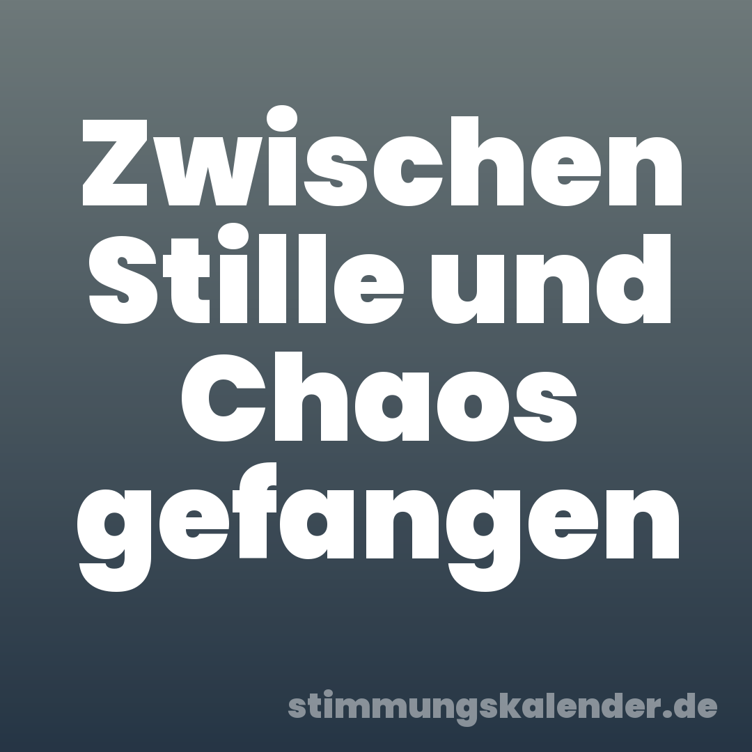 Zwischen Stille und Chaos gefangen