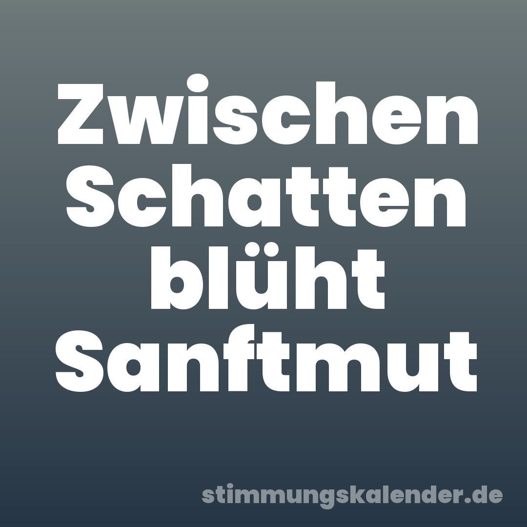 Zwischen Schatten blüht Sanftmut