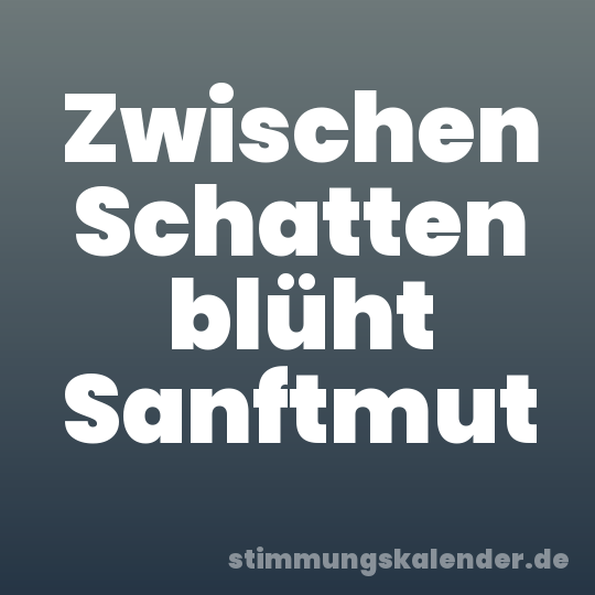 Zwischen Schatten blüht Sanftmut