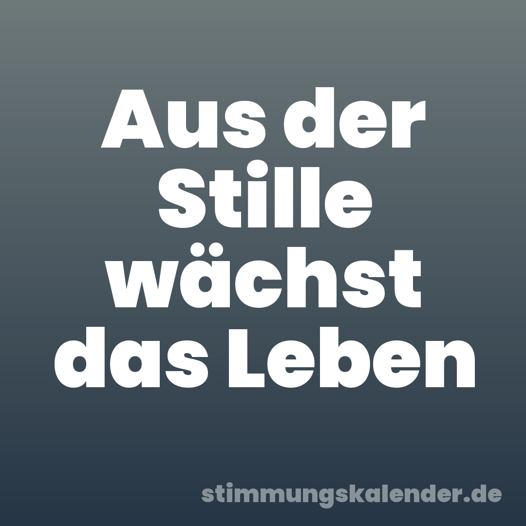 Aus der Stille wächst das Leben