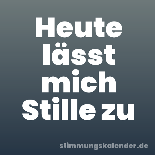 Heute lässt mich Stille zu