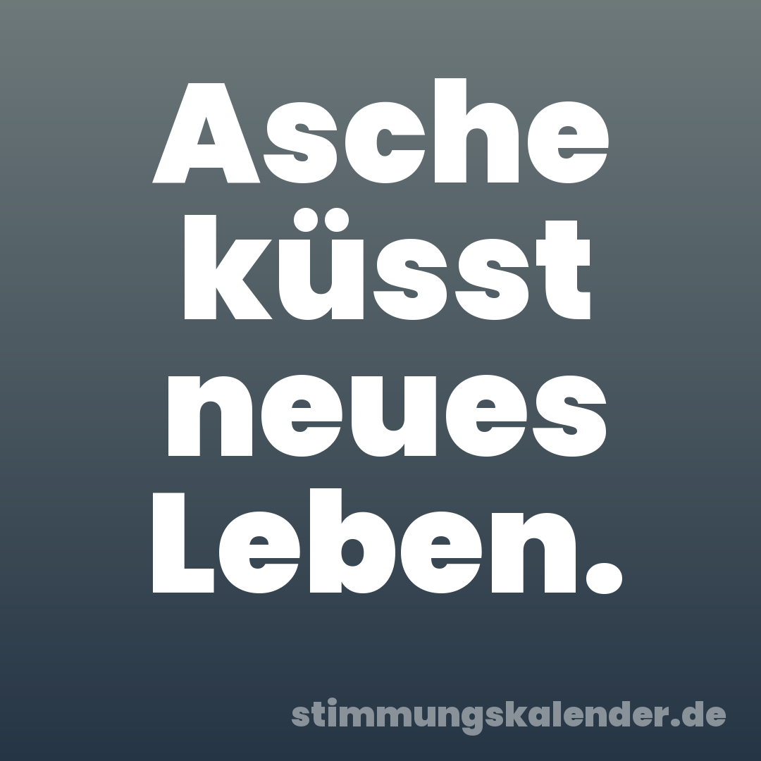 Asche küsst neues Leben.