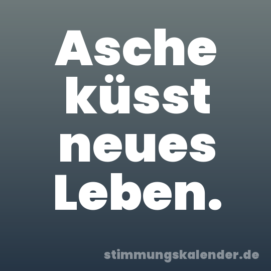 Asche küsst neues Leben.