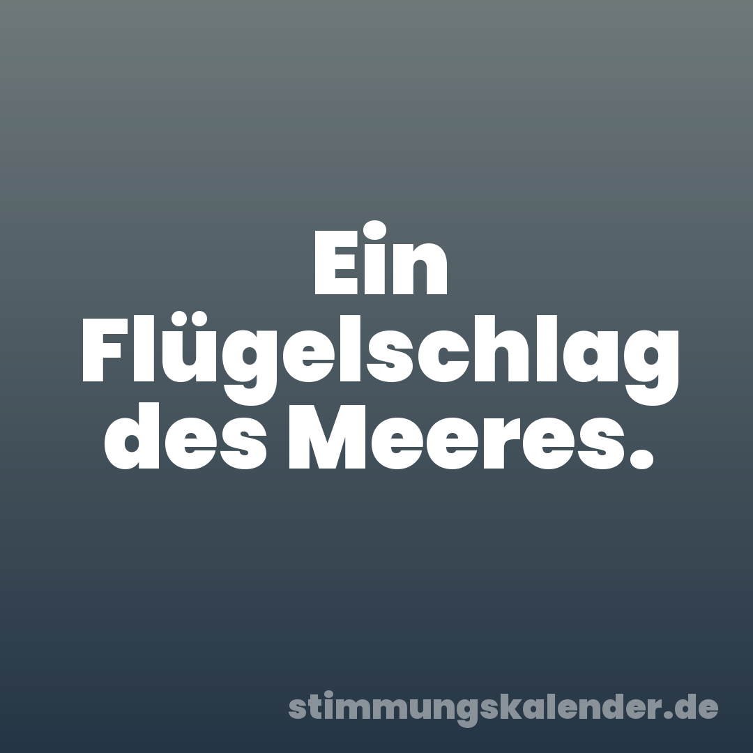 Ein Flügelschlag des Meeres.