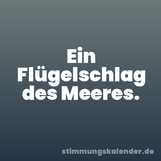 Ein Flügelschlag des Meeres.