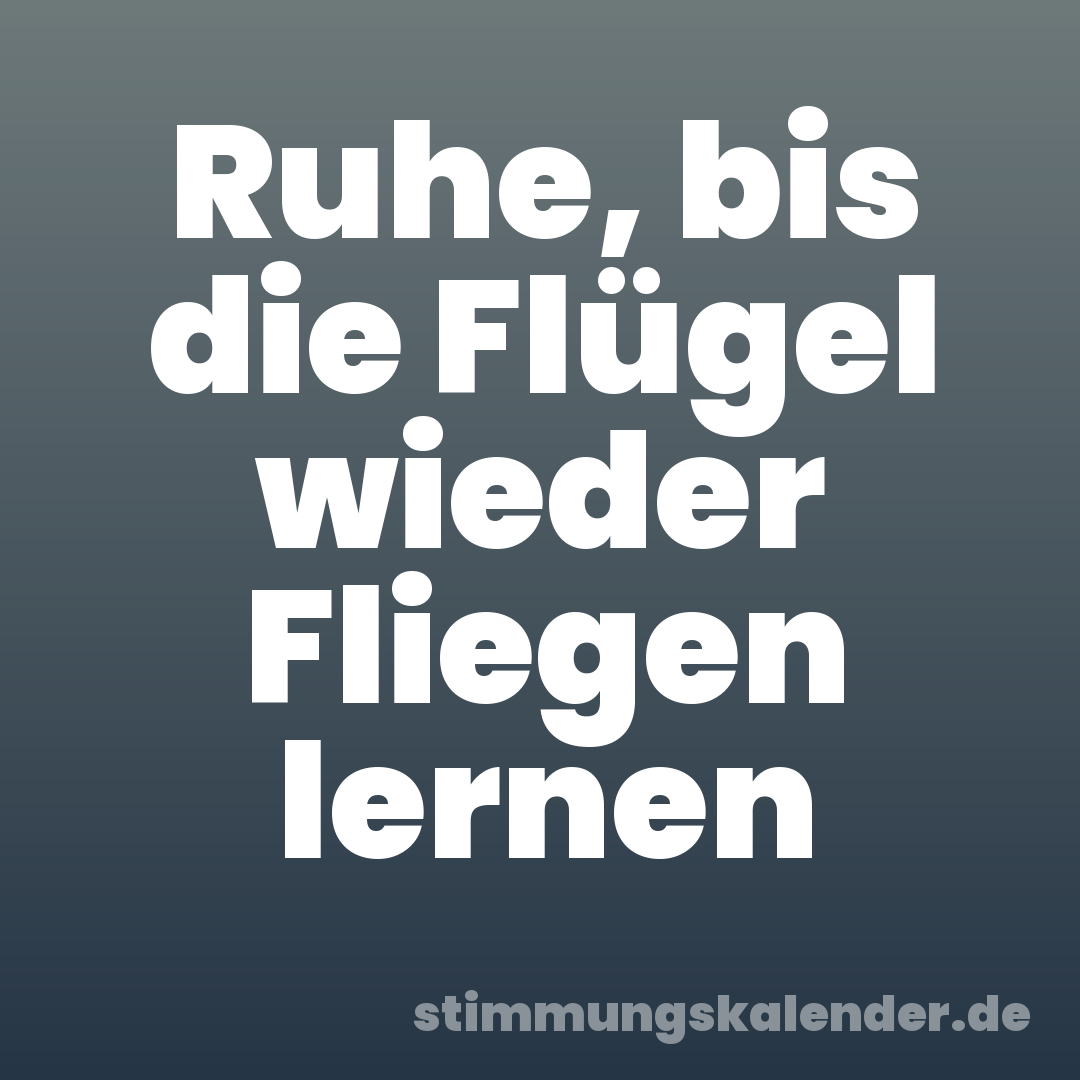 Ruhe, bis die Flügel wieder Fliegen lernen