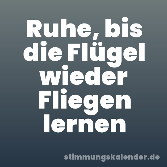 Ruhe, bis die Flügel wieder Fliegen lernen
