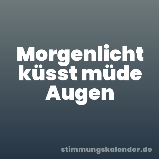 Morgenlicht küsst müde Augen