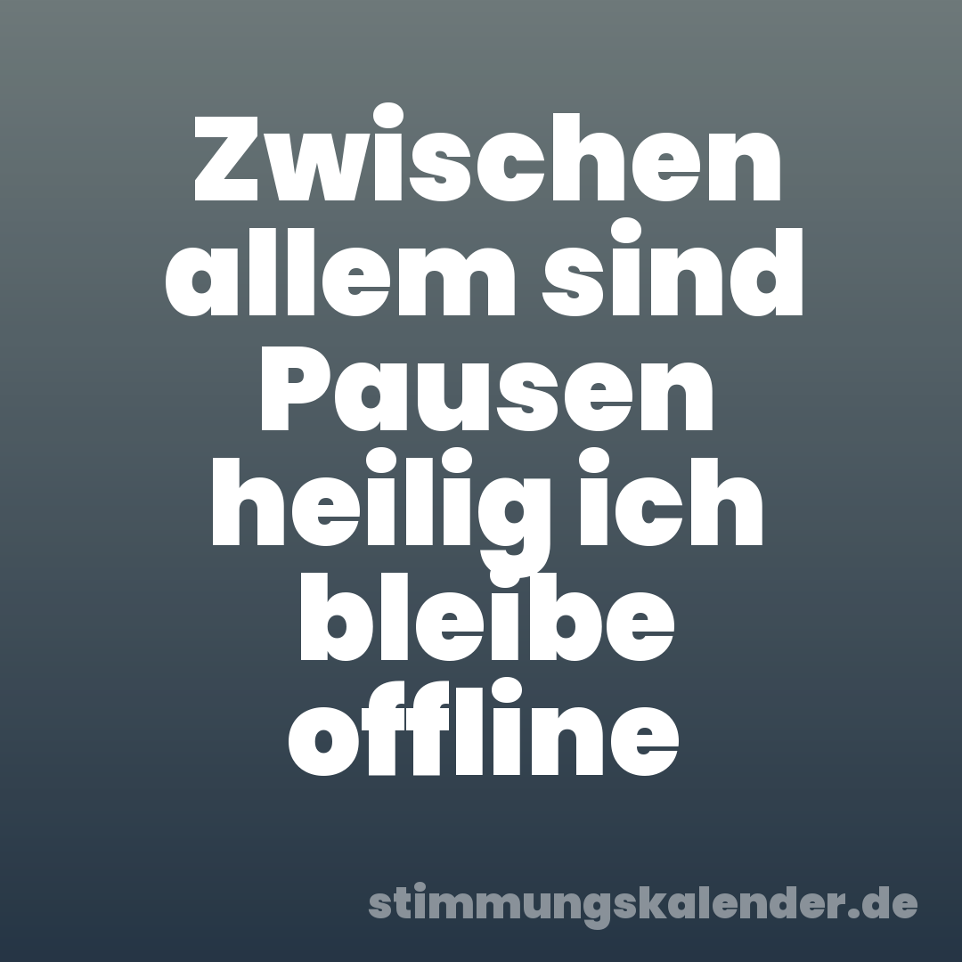 Zwischen allem sind Pausen heilig ich bleibe offline