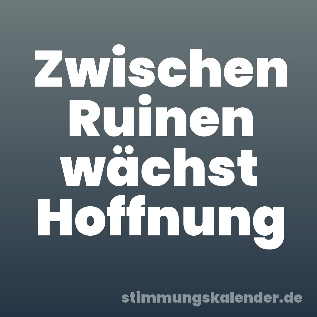 Zwischen Ruinen wächst Hoffnung