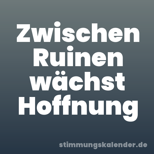 Zwischen Ruinen wächst Hoffnung