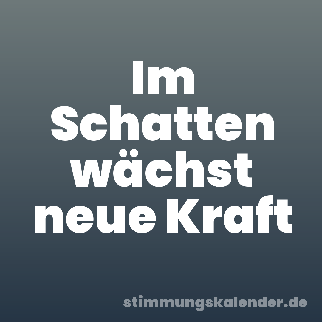 Im Schatten wächst neue Kraft