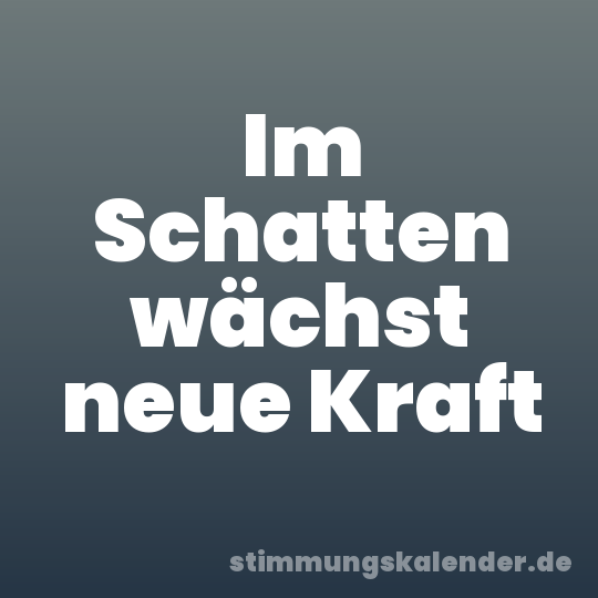 Im Schatten wächst neue Kraft