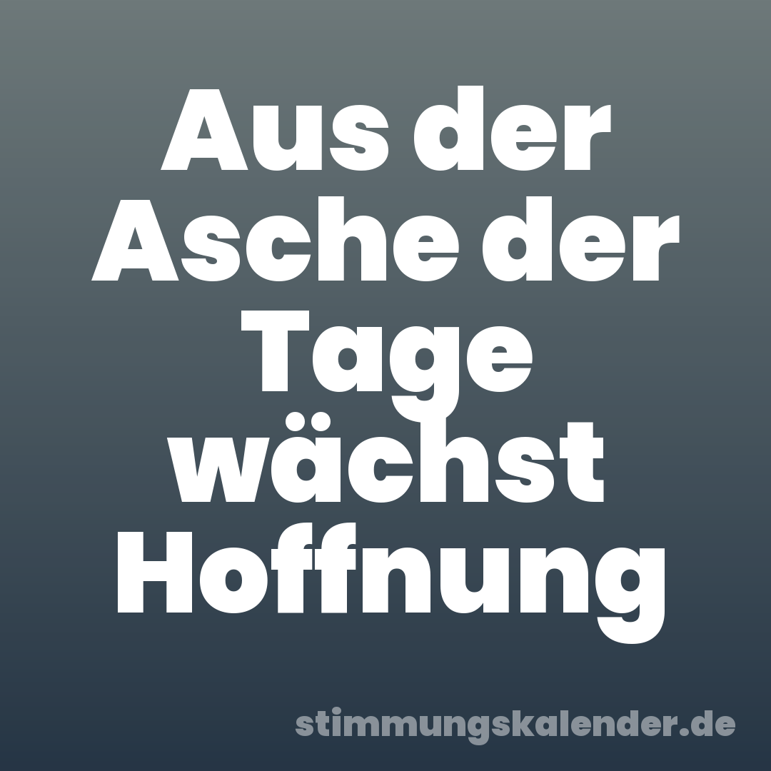 Aus der Asche der Tage wächst Hoffnung