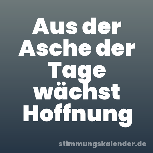 Aus der Asche der Tage wächst Hoffnung