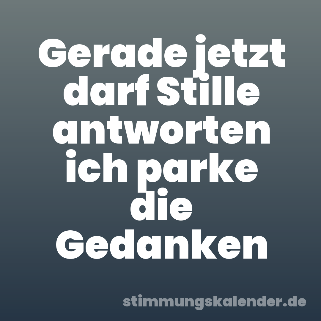 Gerade jetzt darf Stille antworten ich parke die Gedanken