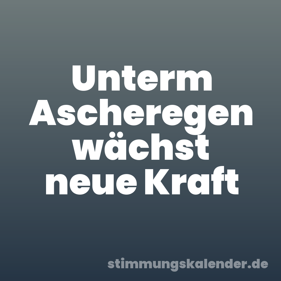 Unterm Ascheregen wächst neue Kraft