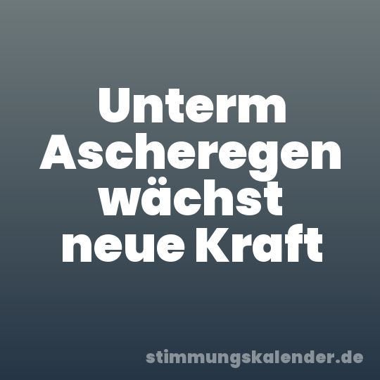 Unterm Ascheregen wächst neue Kraft