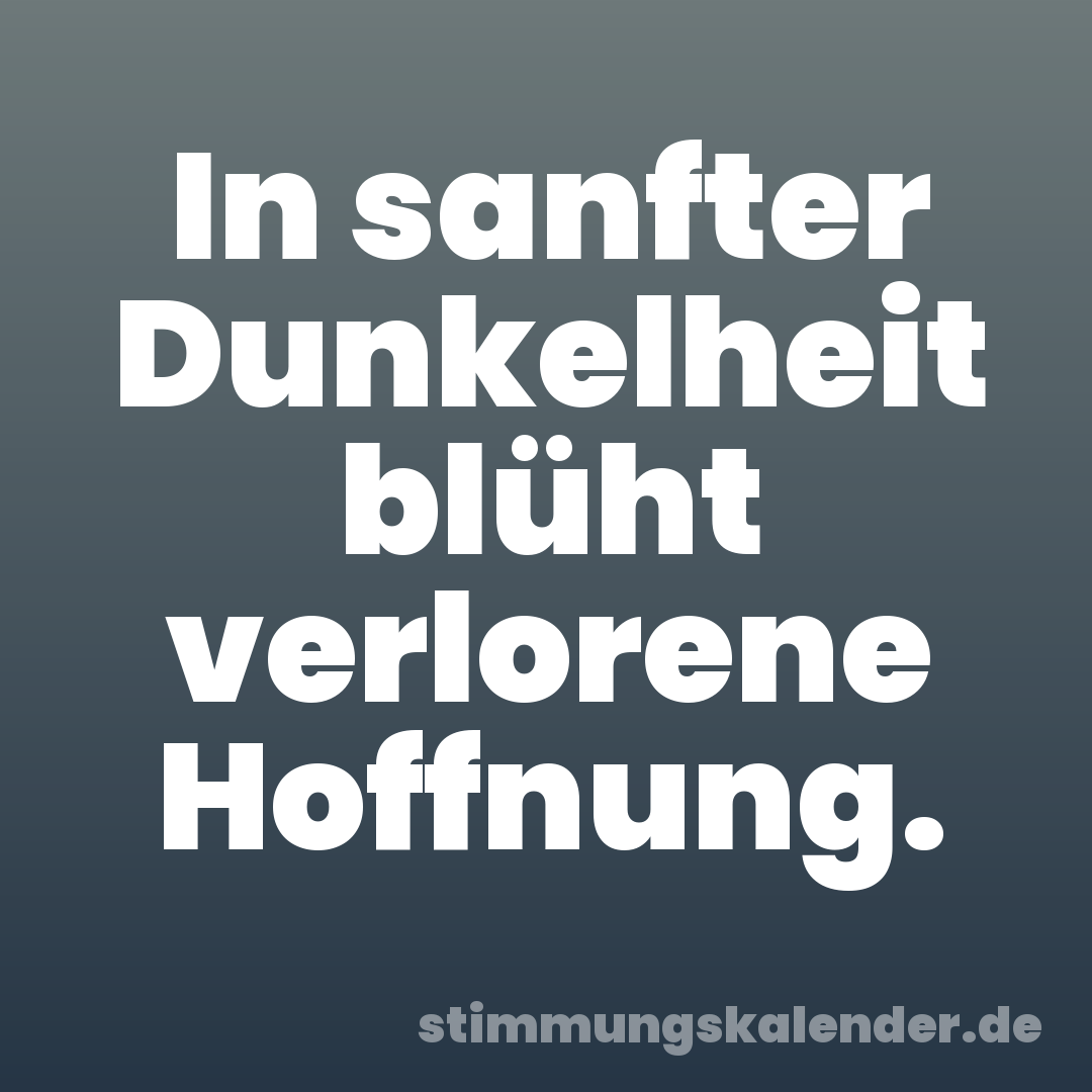In sanfter Dunkelheit blüht verlorene Hoffnung.