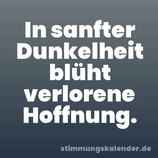In sanfter Dunkelheit blüht verlorene Hoffnung.